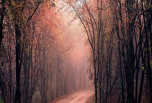 怎么用手机看股票:怎么用股票杠杆-一季度业绩下滑 德迈仕控制权拟变更 股票停牌!