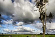 长沙配资平台:梅州股票配资-狂买49亿股!险资二季度重仓买了这些 投资者能“抄作业”吗