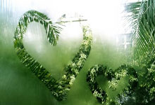 保证金杠杆:哪一款股票软件比较好-短期拉出20多个涨停板、大涨超200%!并购重组牛股*ST宇顺今起停牌核查!