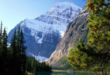 股票网上开户哪家好:股票的投资技巧-比亚迪创历史新高 巴菲特踏空一倍涨幅!业绩向好的优质股曝光